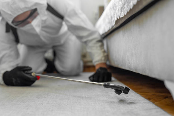 Professional Bed Bug Control technician working in Piedmont, OK