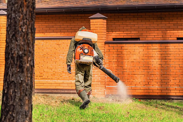 Trusted Cockroach Control service in Piedmont, OK - Nex Pest Control
